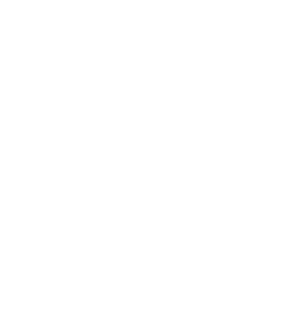 LiftX NZ Favicon logo